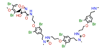 Ceratinadin F